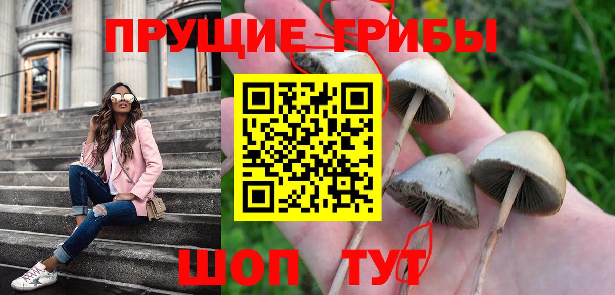 Бузулук  Псилоцибиновые грибы мухоморы  Псилоцибиновые грибы мухоморы  Вход с VPN 